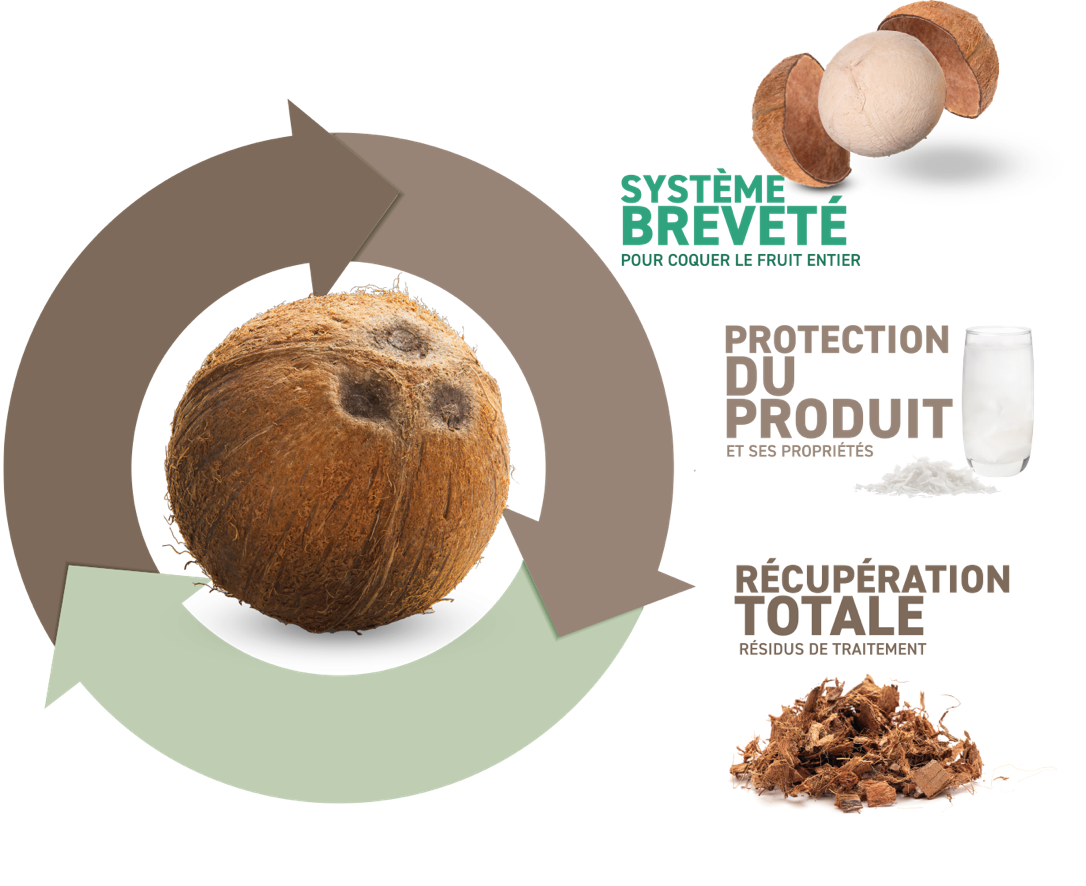 soluzioni Agrimat brevettate per la lavorazione del cocco